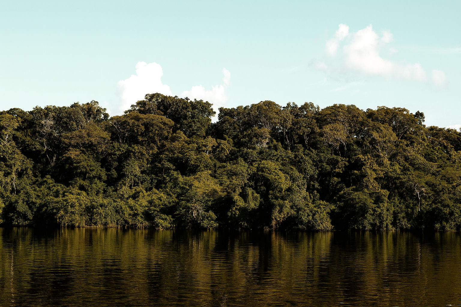 Amazon Rainforest