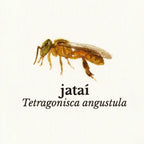 Jataí Gold