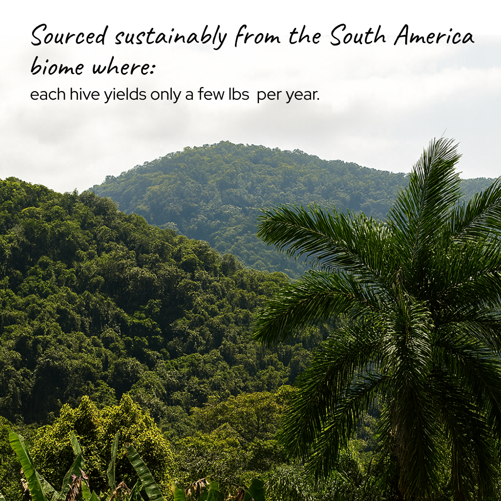 Jataí Gold Elixir Dropper